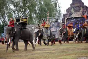 งานช้างจังหวัดสุรินทร์