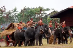 งานช้างสุรินทร์ปี2561