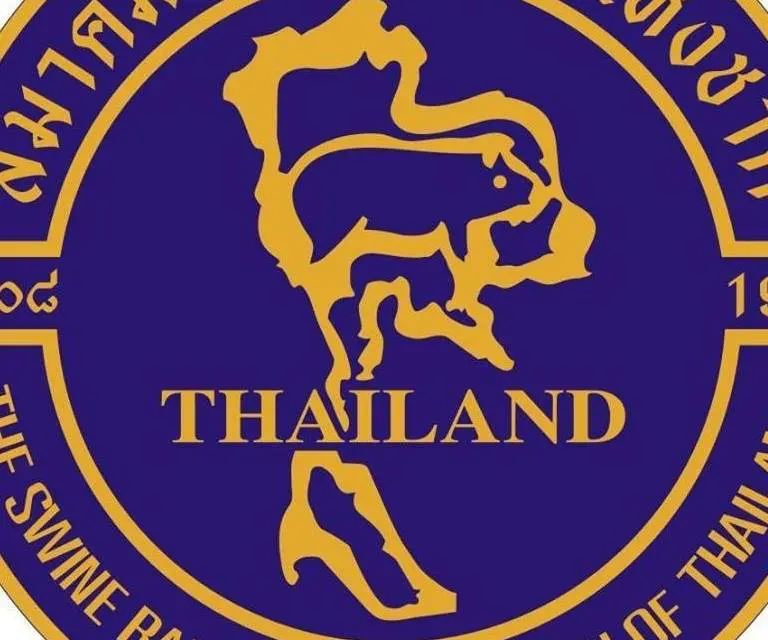 หมูไทยเนื้อหอม…รับออเดอร์ฮ่องกงเพียบ  หลังป้อง ASF เข้มต่อเนื่อง… ขณะที่หลายบริษัทร่วมมือลงขันช่วยเกษตรกร