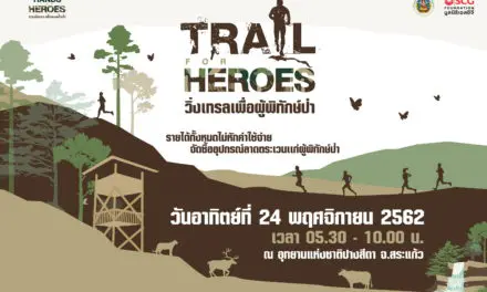 มูลนิธิเอสซีจี เชิญชวนร่วมกิจกรรม “Trail for Heroes” วิ่งเทรลเพื่อผู้พิทักษ์ป่า  ในโครงการ HANDS FOR HEROES รวมมือเรา เพื่อคนเฝ้าป่า ปีที่ 2