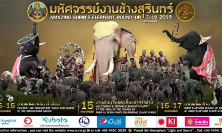 ททท. เชิญหลงรักประเทศไทยกับงาน “มหัศจรรย์งานแสดงช้างสุรินทร์ ประจำปี 2562 ครั้งที่ 59 และงานเลี้ยงอาหารช้างที่ยิ่งใหญ่ของโลก”