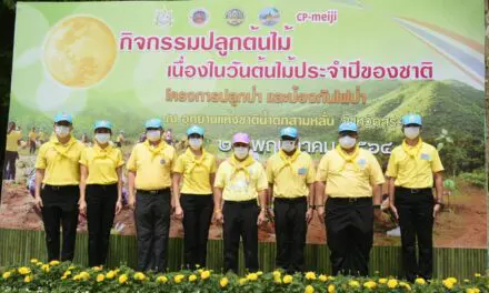 ซีพี-เมจิ ผนึกกำลังกรมอุทยานแห่งชาติฯ และจ.สระบุรี เพิ่มพื้นที่สีเขียว ฟื้นป่าต้นน้ำ