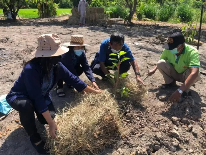 พช.นนทบุรี เร่งเครื่งเดินหน้าจัดกิจกรรม “รวมพลังเอามื้อสามัคคี”