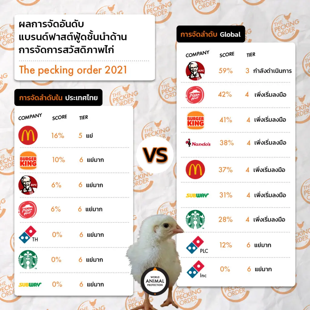 องค์กรพิทักษ์สัตว์แห่งโลก (World Animal Protection)