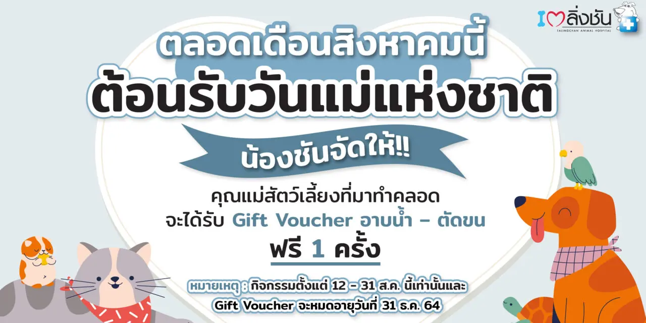 พาคุณแม่สัตว์เลี้ยงทำคลอด รับฟรี อาบน้ำ-ตัดขน