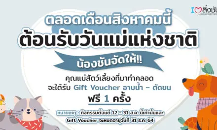 พาคุณแม่สัตว์เลี้ยงทำคลอด รับฟรี อาบน้ำ-ตัดขน