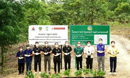 มิตซูบิชิ มอเตอร์ส ประเทศไทย ร่วมคืนความสมบูรณ์สู่รผ่านมูลนิธิ มิตซูบิชิ มอเตอร์ส ประเทศไทย ในโอกาสครบ 60 ปีจับมือเครือข่าย กรมป่าไม้ และ อบก. ร่วมปลูกป่า 20 ไร่ ฟื้นฟูป่าชุมชนบ้านอ่างกระพงศ์ จ. ชลบุรี