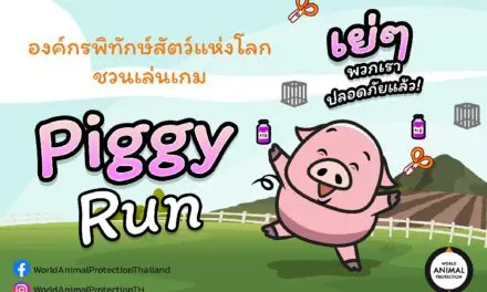 องค์กรพิทักษ์สัตว์แห่งโลก เปิดตัวเกม Piggy Run ครั้งแรกในไทย  ชวนร่วมพาหมูหนีภัยพร้อมผลักดันสวัสดิภาพสัตว์ในฟาร์มเพื่อลดการใช้ยาปฏิชีวนะ