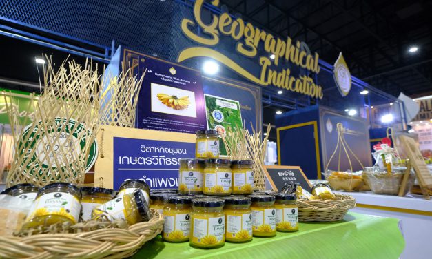 กรมส่งเสริมการค้าระหว่างประเทศ จับมือ กรมทรัพย์สินทางปัญญา ยกขบวนสินค้าอาหาร GI ชื่อดังของไทย จัดแสดงในงาน THAIFEX 2019