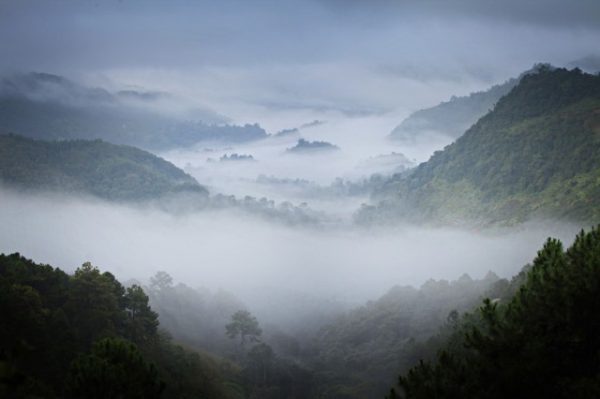 “ลดไร่หมุนเวียน ปรับระบบเกษตรที่เป็นมิตรต่อสิ่งแวดล้อม คู่วิถีคนอยู่ร่วมกับป่า”  “เราจะทำให้ประเทศไทยกลับมีความอุดมสมบูรณ์ มีความชุ่มชื้นได้ ขออย่าไปรังแกป่าเท่านั้นเอง”