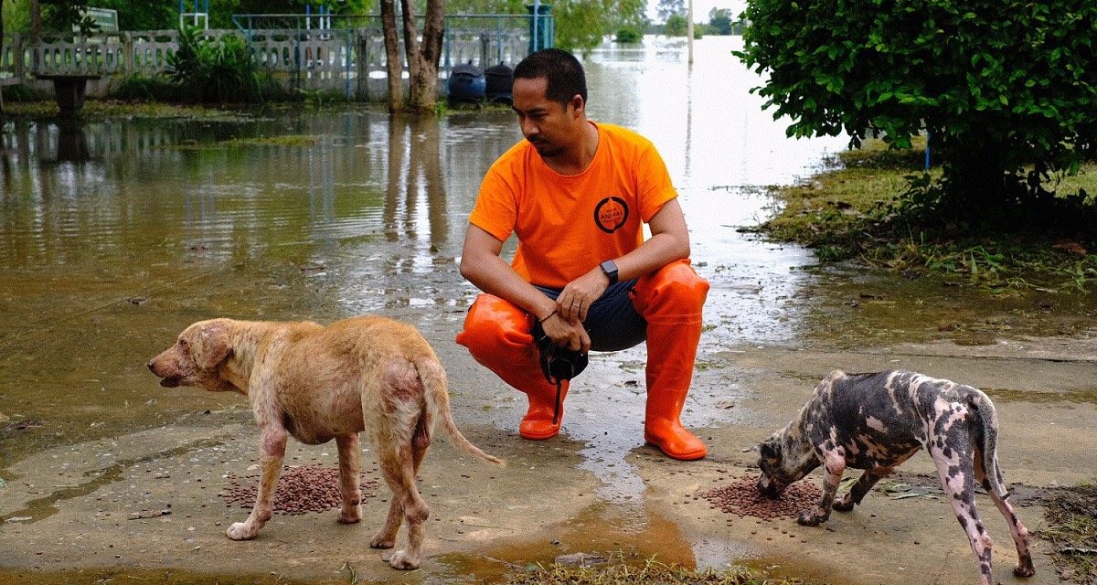 องค์กรพิทักษ์สัตว์แห่งโลก เข้าช่วยสัตว์เลี้ยงที่ประสบภัยน้ำท่วมในร้อยเอ็ด