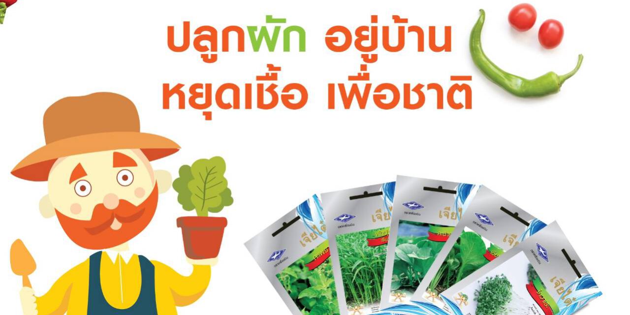 เจียไต๋แจกฟรี! เมล็ดพันธุ์ผักสวนครัว 25,000 ซอง ส่งเสริมคนไทย “ปลูกผัก อยู่บ้าน หยุดเชื้อ เพื่อชาติ”