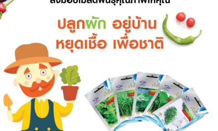 เจียไต๋แจกฟรี! เมล็ดพันธุ์ผักสวนครัว 25,000 ซอง ส่งเสริมคนไทย “ปลูกผัก อยู่บ้าน หยุดเชื้อ เพื่อชาติ”
