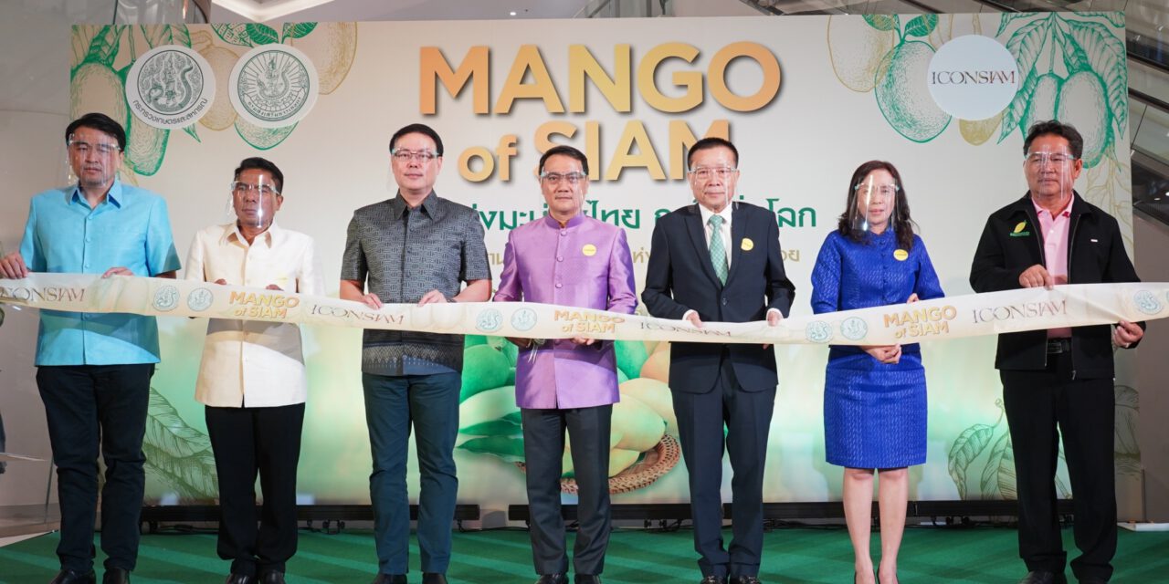 “Mango of SIAM” ที่สุดแห่งมะม่วงไทย ถูกใจทั่วโลก  มหัศจรรย์งานเทศกาลมะม่วงแห่งปี  พบกับมะม่วงพันธุ์หายากและนิทรรศการแสดงความหลากหลายของสายพันธุ์  วันที่ 2 – 6 เมษายนศกนี้ ณ เจริญนคร ฮอลล์ ชั้น M ไอคอนสยาม
