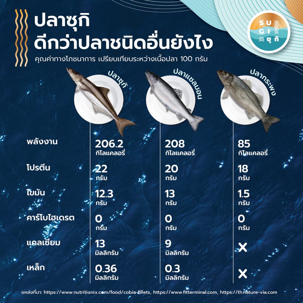 ซุกิ ปลาคุณภาพจากทะเลไทย