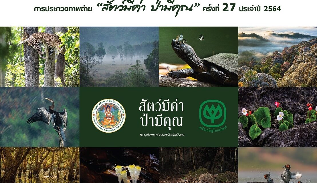กรมอุทยานแห่งชาติฯ จับมือเครือเจริญโภคภัณฑ์และบริษัทในเครือ มุ่งมั่นเดินหน้าปลูกจิตสำนึกเยาวชนและคนไทยทั้งประเทศ ร่วมสร้างแรงบันดาลใจอนุรักษ์สัตว์ป่าและป่าไม้ ผ่านการประกวดภาพถ่าย ‘สัตว์มีค่า ป่ามีคุณ’ ต่อเนื่องเป็นปีที่ 27