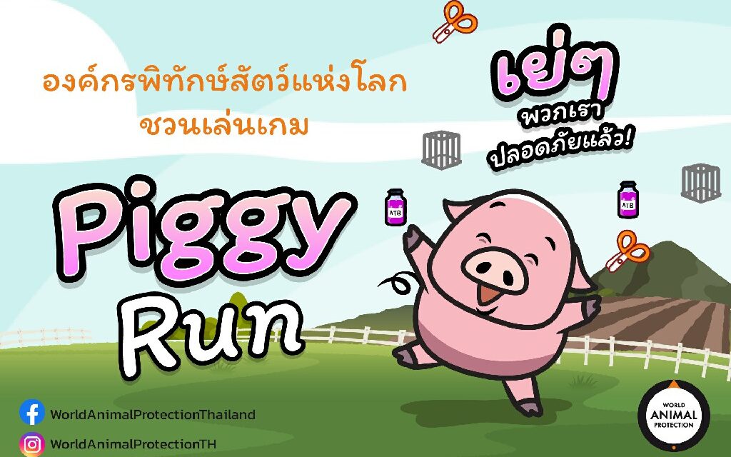 องค์กรพิทักษ์สัตว์แห่งโลก เปิดตัวเกม Piggy Run ครั้งแรกในไทย  ชวนร่วมพาหมูหนีภัยพร้อมผลักดันสวัสดิภาพสัตว์ในฟาร์มเพื่อลดการใช้ยาปฏิชีวนะ
