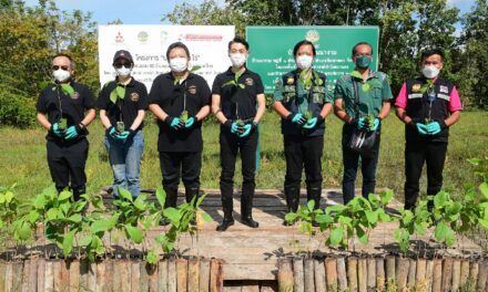 มิตซูบิชิ มอเตอร์ส ประเทศไทย เดินหน้าโครงการ ‘ปลูกป่า 60 ปี 60 ไร่’ ปลูกต้นไม้ 40 ไร่ เพิ่มพื้นที่สีเขียวให้ป่าชุมชนบ้านนางาม จ.สระแก้ว