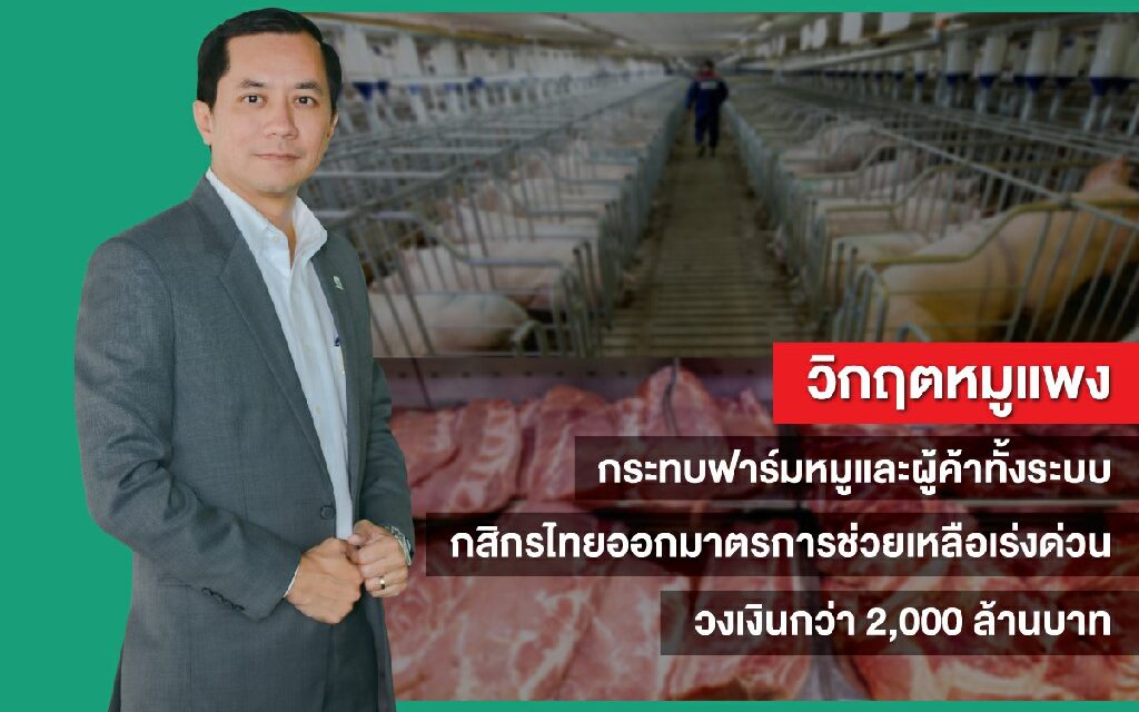 วิกฤตหมูแพงกระทบฟาร์มหมูและผู้ค้าทั้งระบบ    กสิกรไทยออกมาตรการช่วยเหลือเร่งด่วน วงเงินกว่า 2,000 ล้านบาท 