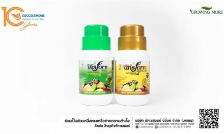 ซัคเซสมอร์ ส่งผลิตภัณฑ์ทรานส์ฟอร์ม ฉีกกฏการกินอาหารของพืชครบ 24 ชั่วโมง ภายใต้แบรนด์ Growing more ลดต้นทุน และเพิ่มผลผลิตให้เกษตรกรไทย  