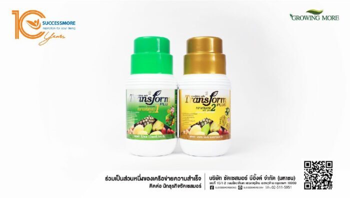 ซัคเซสมอร์ ส่งผลิตภัณฑ์ทรานส์ฟอร์ม ฉีกกฏการกินอาหารของพืชครบ 24 ชั่วโมง ภายใต้แบรนด์ Growing more ลดต้นทุน และเพิ่มผลผลิตให้เกษตรกรไทย  