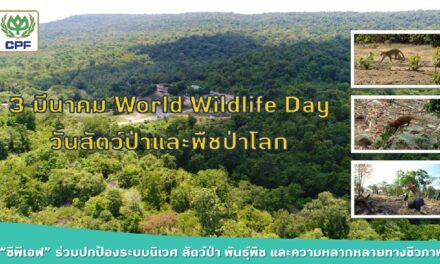 3 มี.ค. World Wildlife Day  “ซีพีเอฟ” มุ่งมั่นร่วมปกป้องระบบนิเวศ สัตว์ป่า พันธุ์พืช และความหลากหลายทางชีวภาพ  