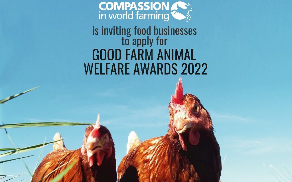 CIWF เชิญธุรกิจอาหาร สมัครเข้ารับรางวัลสวัสดิภาพสัตว์ในฟาร์มดีเด่น 2565  Good Farm Animal Welfare Awards 2022