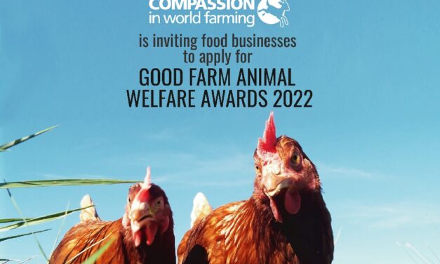 CIWF เชิญธุรกิจอาหาร สมัครเข้ารับรางวัลสวัสดิภาพสัตว์ในฟาร์มดีเด่น 2565  Good Farm Animal Welfare Awards 2022