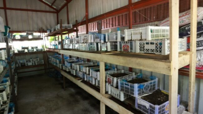สมาคมเพื่อนชุมชนชู “วัดทับมา” ต้นแบบวัดเชิงนิเวศ ใช้ไส้เดือนจัดการขยะผลิตปุ๋ยอินทรีย์สร้างรายได้ชุมชน