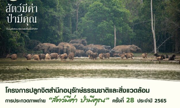 เปิดโครงการปลูกจิตสำนึกอนุรักษ์ธรรมชาติและสิ่งแวดล้อม การประกวดภาพถ่าย ‘สัตว์มีค่า ป่ามีคุณ’ คร้งที่ 28 ประจำปี 2565 