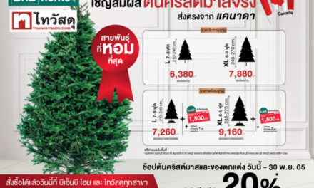 เปิดพรีออเดอร์กันได้แล้ว! ต้นคริสต์มาสจริงสายพันธุ์ที่หอมที่สุด  ส่งตรงจากแคนาดา เจ้าเดียวในไทย ต้อนรับเทศกาลแห่งความสุข  จองวันนี้ที่บีเอ็นบี โฮม และ ไทวัสดุ ทุกสาขา