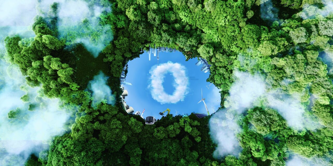 เซี่ยงไฮ้ อิเล็กทริก ปลูกต้นไม้ 1,200 ต้น ปิดฉากแคมเปญคาร์บอนเป็นศูนย์ด้วยความสำเร็จอย่างงดงาม