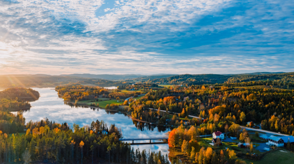 ถอดความสำเร็จสวีเดนโมเดล ป่าสร้างคน-คนสร้างป่า เศรษฐกิจยั่งยืน
