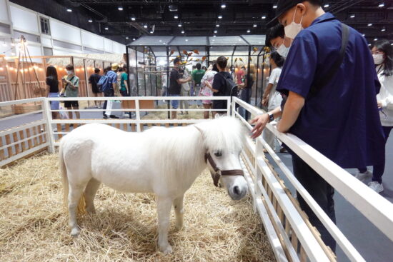 เริ่มแล้ว! Pet Expo Thailand 2023 งานสัตว์เลี้ยงแห่งปี พบสินค้าบริการสุดพิเศษ 300 ร้านค้า คาด 4 วันผู้ร่วมงานไม่น้อยกว่า 1 แสนคน