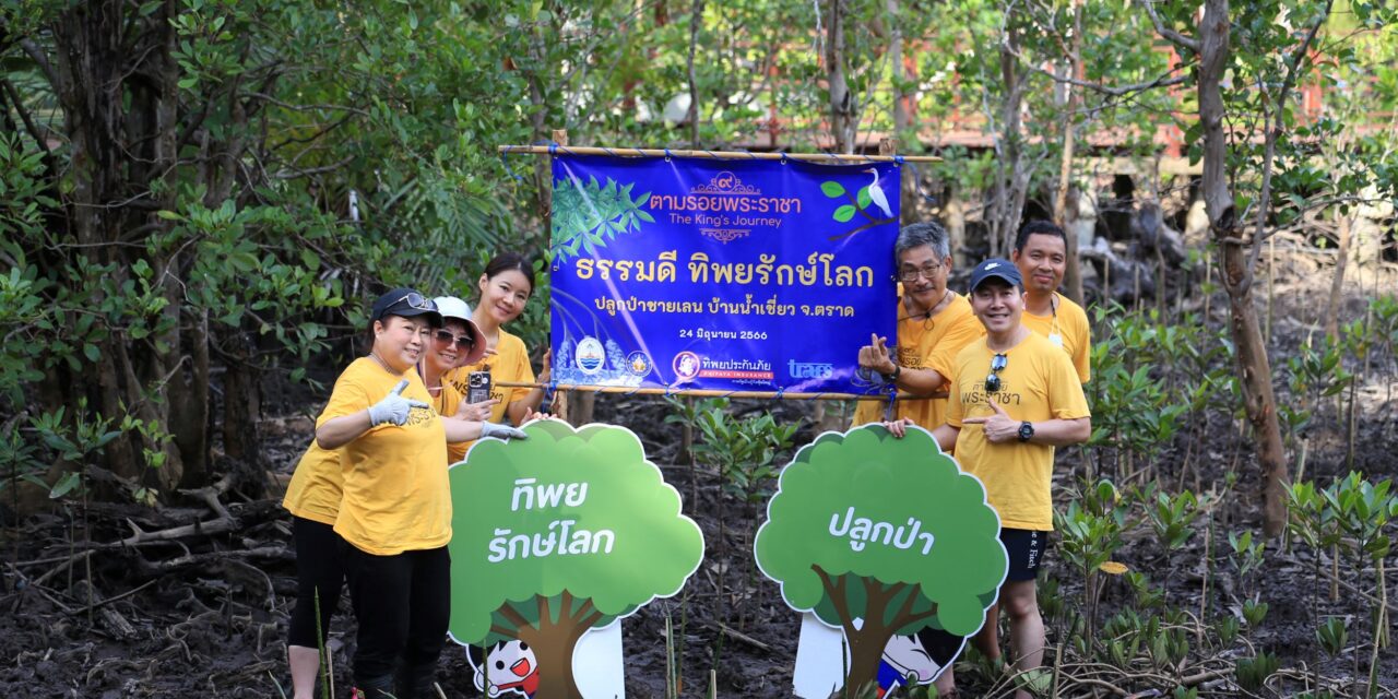 ทิพยสืบสาน รักษา ต่อยอด นวัตกรรมศาสตร์พระราชา ครั้งที่ 30  ร่วมปลูกป่าชายเลนอนุรักษ์สิ่งแวดล้อมทางทะเล ลดก๊าซเรือนกระจกมุ่งสู่เป้าหมาย Paris Agreement   