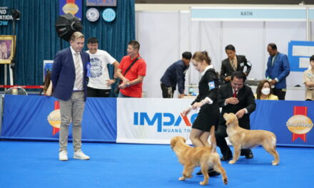 เริ่มแล้ว!! “มหกรรมคนรักสุนัข” อันดับ 1 ของประเทศไทย SmartHeart presents Thailand International Dog Show 2023 ครั้งที่ 21   