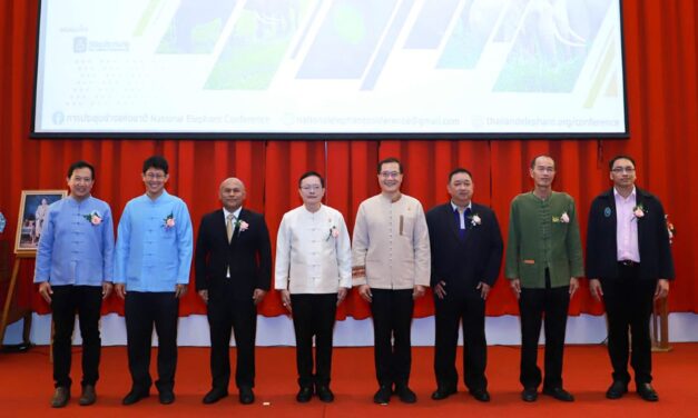 วิริยะประกันภัย ร่วมกับ มช. ส่งเสริมสมรรถนะควาญช้าง  ในการประชุมช้างแห่งชาติ 2566 จ.ลำปาง