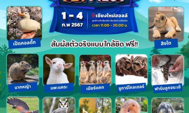 อิมแพ็คฯลัดฟ้า..จัดงานสัตว์เลี้ยงสุดยิ่งใหญ่ครั้งที่ 11 @เชียงใหม่ ในงาน Smartheart presents Thailand International Pet Variety 2024 @CNX ตอน “ Pet Pilot”