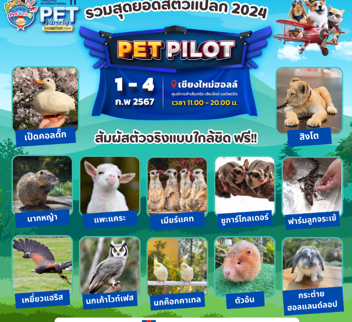 อิมแพ็คฯลัดฟ้า..จัดงานสัตว์เลี้ยงสุดยิ่งใหญ่ครั้งที่ 11 @เชียงใหม่ ในงาน Smartheart presents Thailand International Pet Variety 2024 @CNX ตอน “ Pet Pilot”