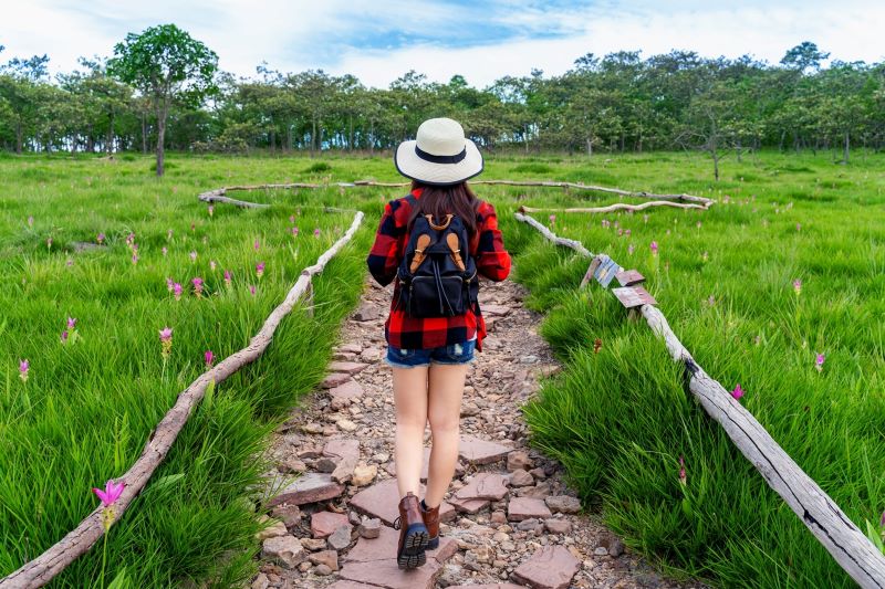 เปิด 5 ทริคเที่ยวหน้าฝน Green Season ให้ใจฟู  !  พร้อมการันตีดีลจาก Aizpaz ให้เที่ยวฉ่ำแบบสบายกระเป๋า