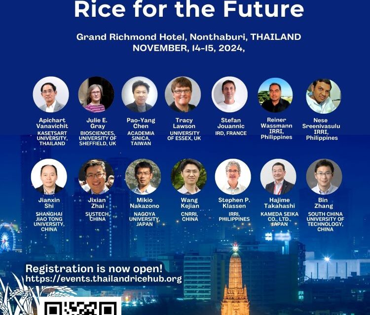 ขอเชิญร่วมงานประชุมวิชาการนานาชาติเรื่องข้าวเพื่ออนาคต (3rd International Conference on Rice for the Future)